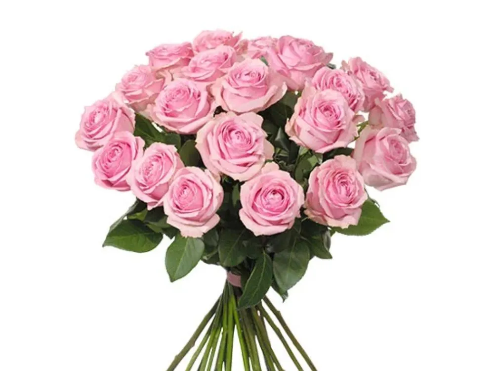 Bukett med 20 rosa rosor